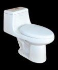 One-piece Toilet, TR5221