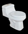 One-piece Toilet, TR5222
