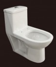 One-piece Toilet, TR5235