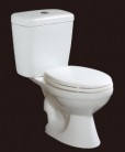 Two-piece Toilet, TR203