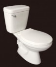 Two-piece Toilet, TR203A