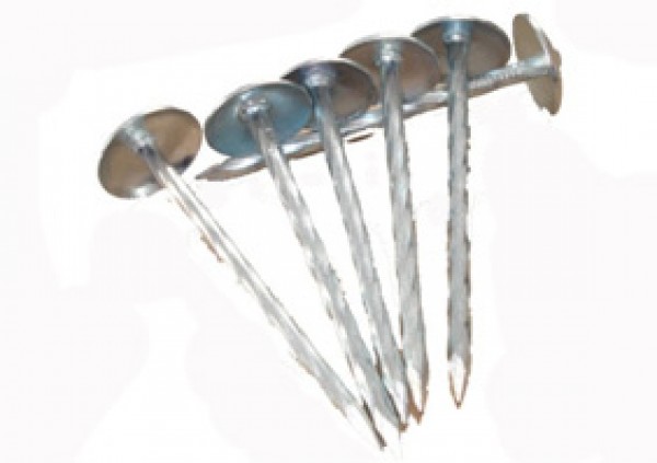 Electrodes and Nail