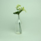 Flower Vase, Flower Vase
