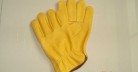 WORKING GLOVES, A003